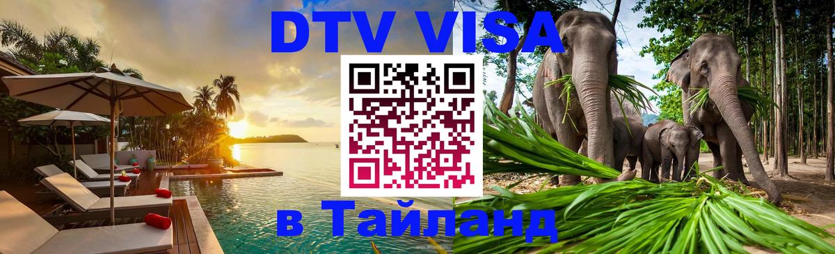 Сколько стоит DTV виза — актуальные цены, оформление даже без документов - 05.10.2025 